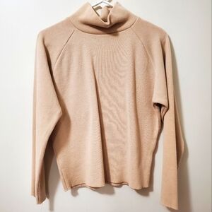 Beige/Almond Boxy Turtleneck Sweater (S-L)